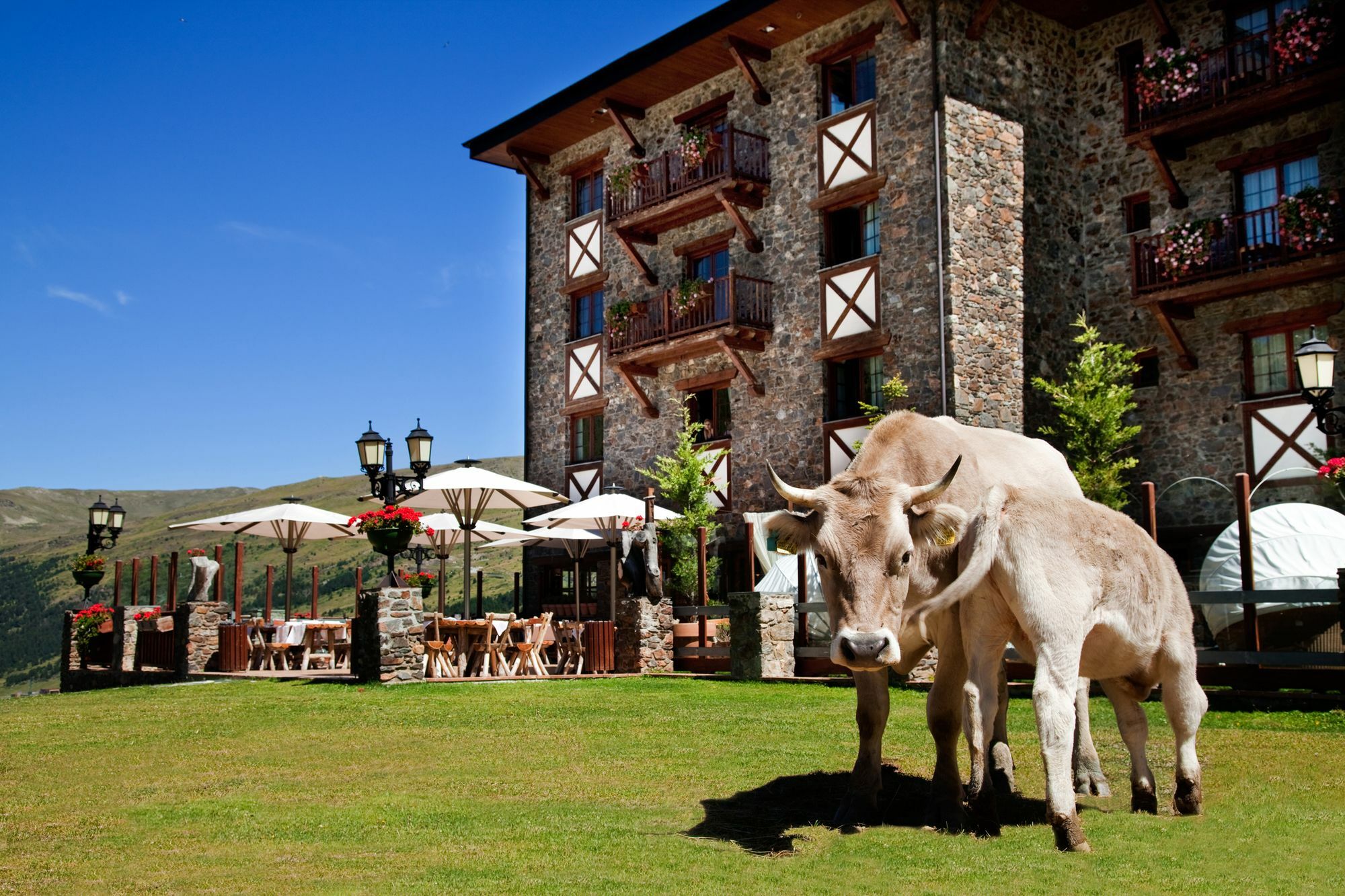 Hotel Grau Roig 4*